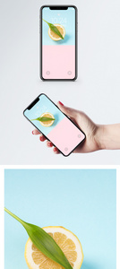 柠檬静物手机壁纸图片