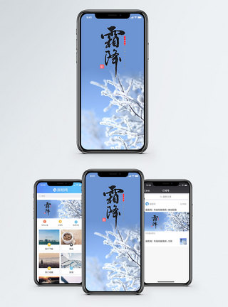 雪燕树霜降手机海报配图模板