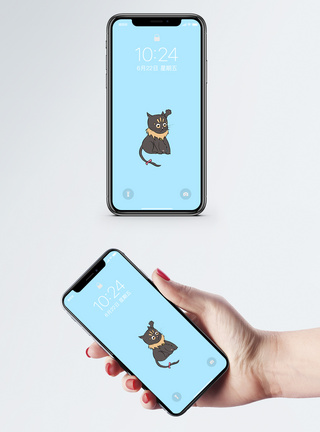 萌猫手机壁纸图片