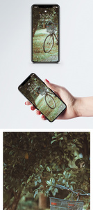 树林中的单车手机壁纸图片