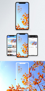 寒露手机海报配图图片