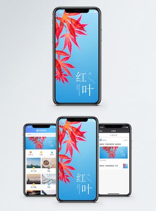 红叶手机海报配图图片