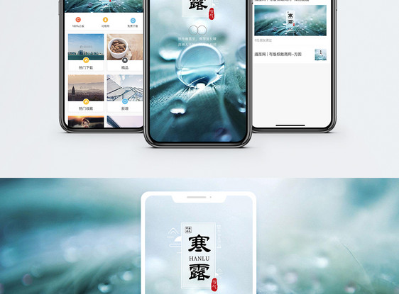 寒露手机海报配图图片