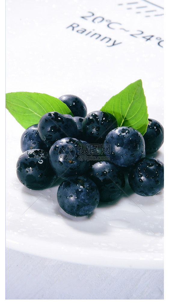 蓝莓水果手机壁纸图片