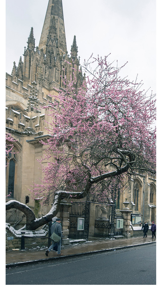 英国牛津大学手机壁纸图片