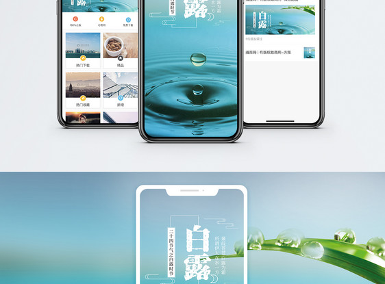 白露手机海报配图图片