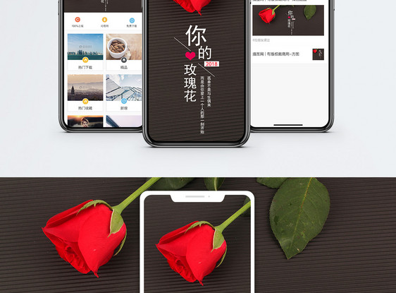 你的玫瑰手机海报配图图片