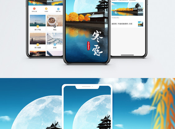 寒露节气手机海报图片