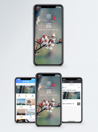 寒露手机海报配图图片