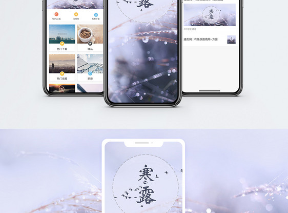 寒露手机海报配图图片