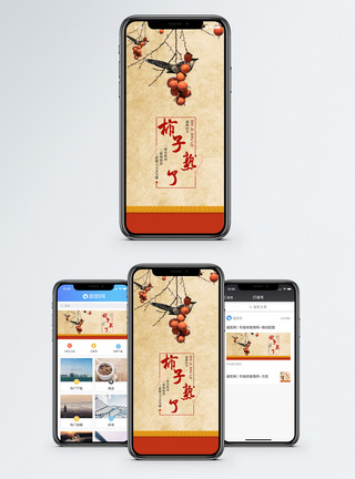 柿子熟了手机海报配图图片