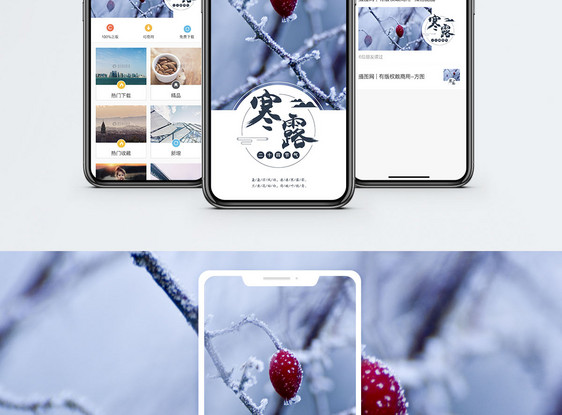 二十四节气寒露手机海报配图图片