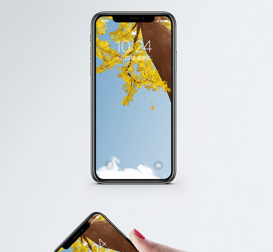 银杏叶手机壁纸图片