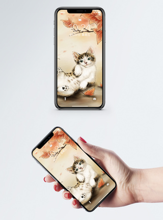 萌猫手机壁纸图片