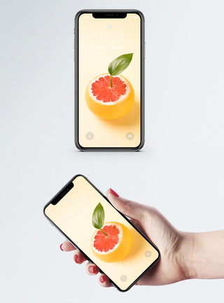 小清新血橙手机壁纸图片
