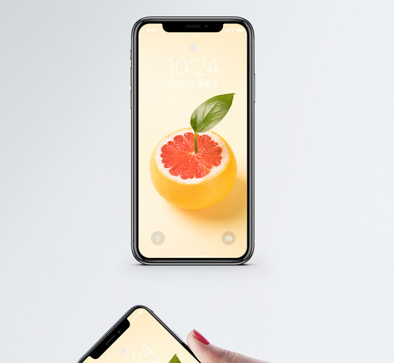 小清新血橙手机壁纸图片