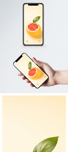 小清新血橙手机壁纸图片