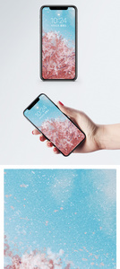 樱花飞舞手机壁纸图片