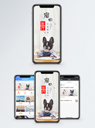 宠物医疗手机海报配图图片