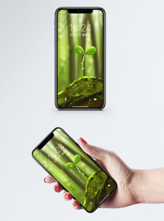 绿植手机壁纸图片