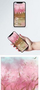 樱花树手机壁纸图片