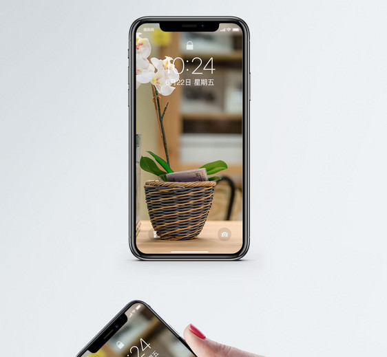 花手机壁纸图片