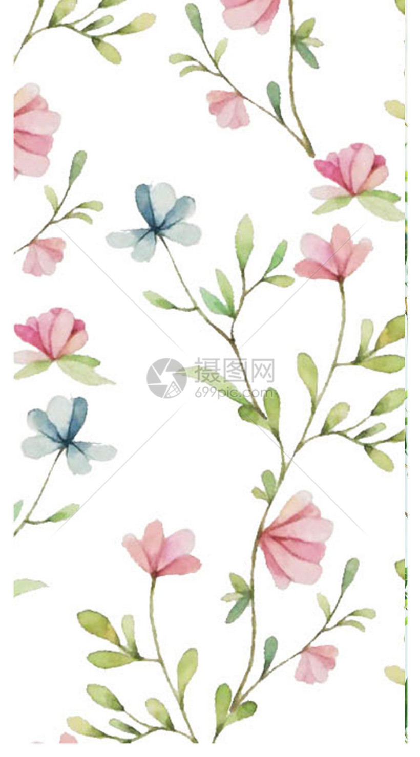 花卉手机壁纸模板素材 正版图片 摄图网