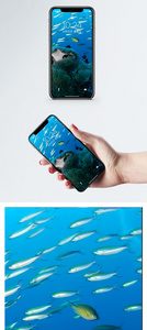 蓝色海洋手机壁纸图片