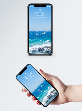 自然风光海鸥手机壁纸模板