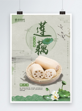 绿色食物莲藕海报模板
