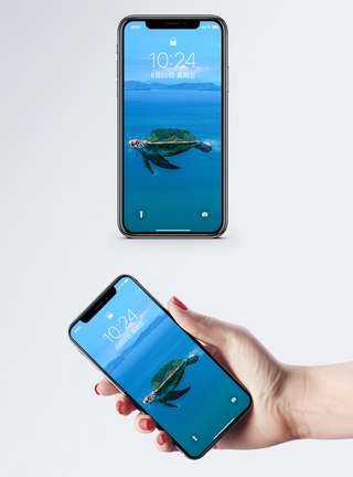 超现实创意乌龟手机壁纸模板