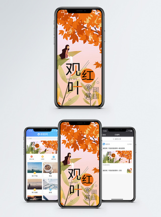 寒露观红叶手机海报配图图片