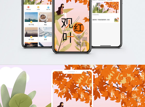 寒露观红叶手机海报配图图片
