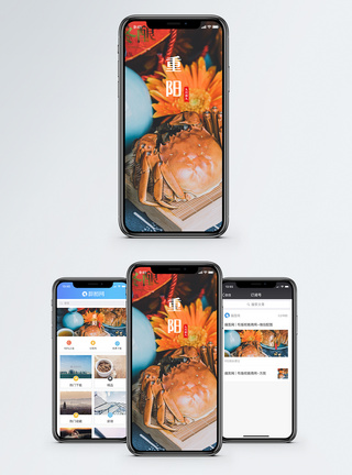 重阳节手机海报配图模板