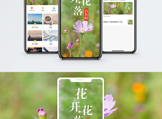 花开花落自有时手机海报配图图片