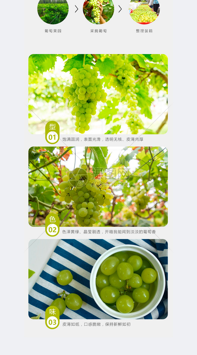 葡萄详情页