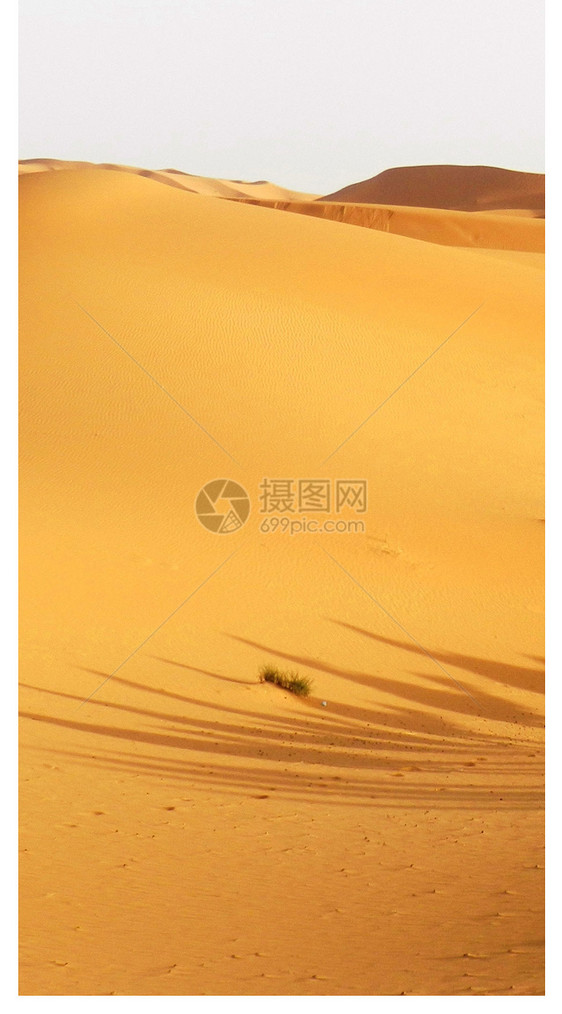 金黄沙漠手机壁纸图片