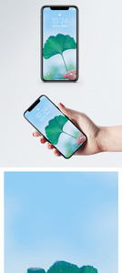小清新银杏叶手机壁纸图片