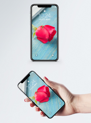 玫瑰花手机壁纸图片