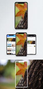 秋季手机海报配图图片