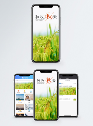 秋收手机海报配图图片