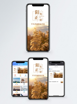 阳光正好手机海报配图图片