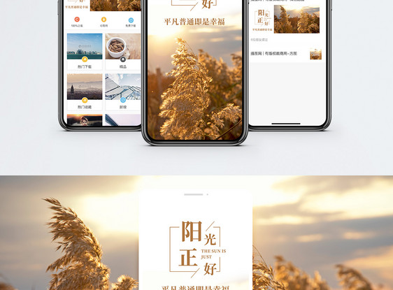 阳光正好手机海报配图图片