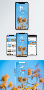 秋色宜人手机海报配图图片