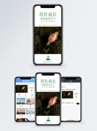 茁壮成长手机海报配图图片