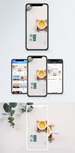 雅致生活手机海报配图图片