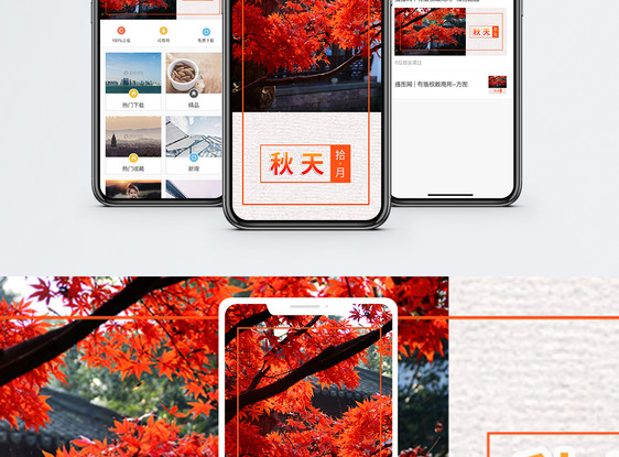秋天手机海报配图图片