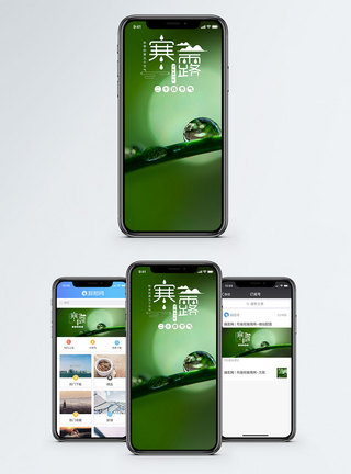 寒露手机海报配图图片