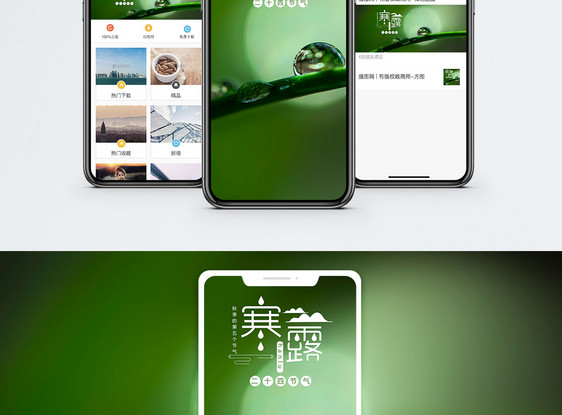 寒露手机海报配图图片