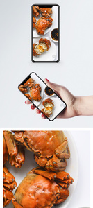 大闸蟹手机壁纸图片